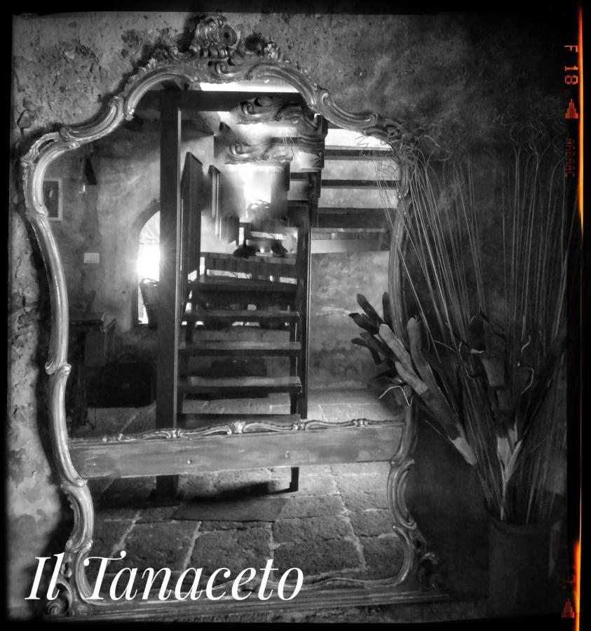 Hotel Il Tanaceto à Castiglione De Sicilia Extérieur photo